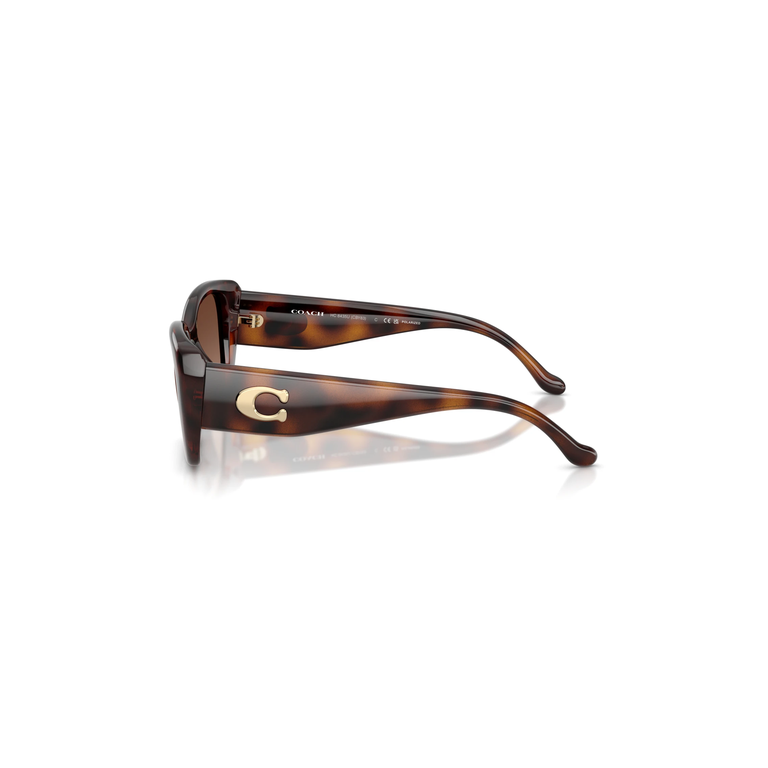 HC8435U in Dark Tortoise with Brown Gradient Polarized