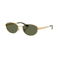RB3774D in Arista Gold with Dark Green Polarized