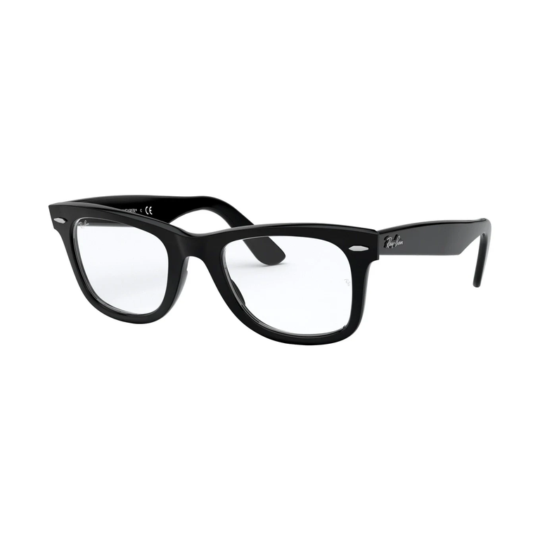 RX5121F-Wayfarer in Black